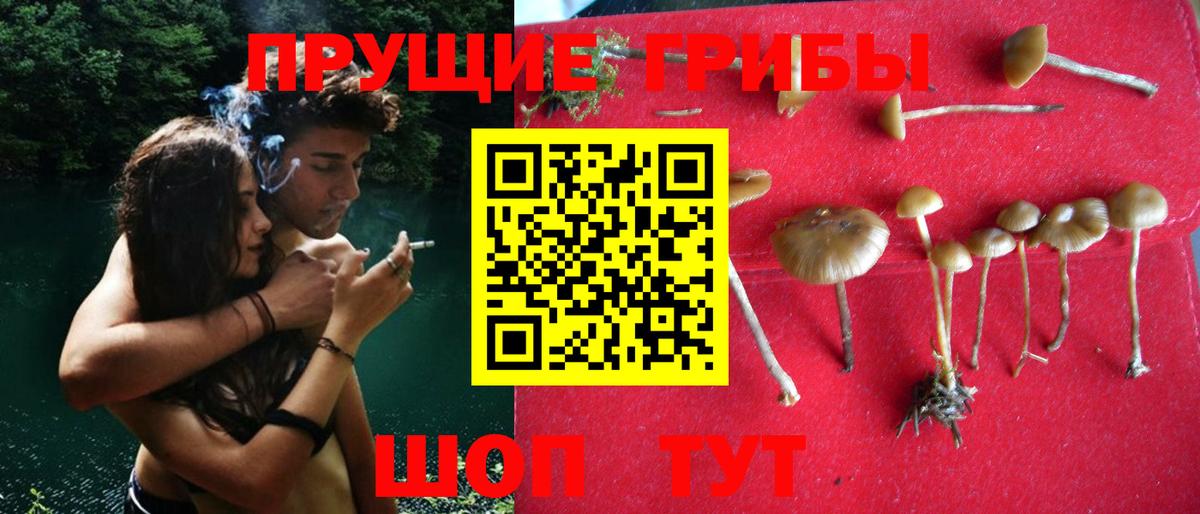 Псилоцибиновые грибы ЛСД Берёзовский